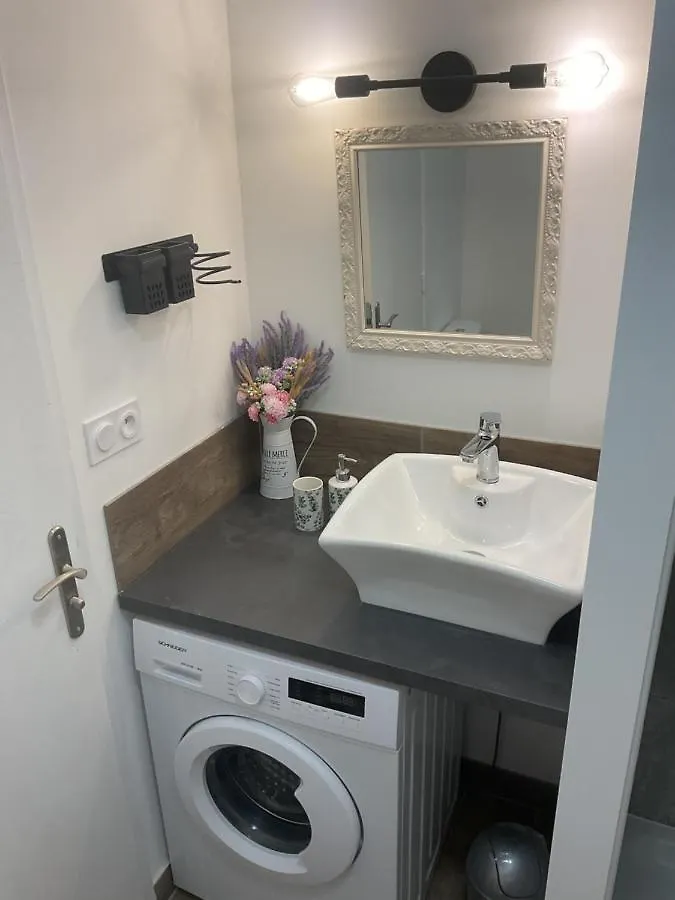 Domaine Le Rocher D Argent Avec Piscine Exterieur ,Jacuzzi Interieur Et Salle De Jeux Berre-des-Alpes Apartman